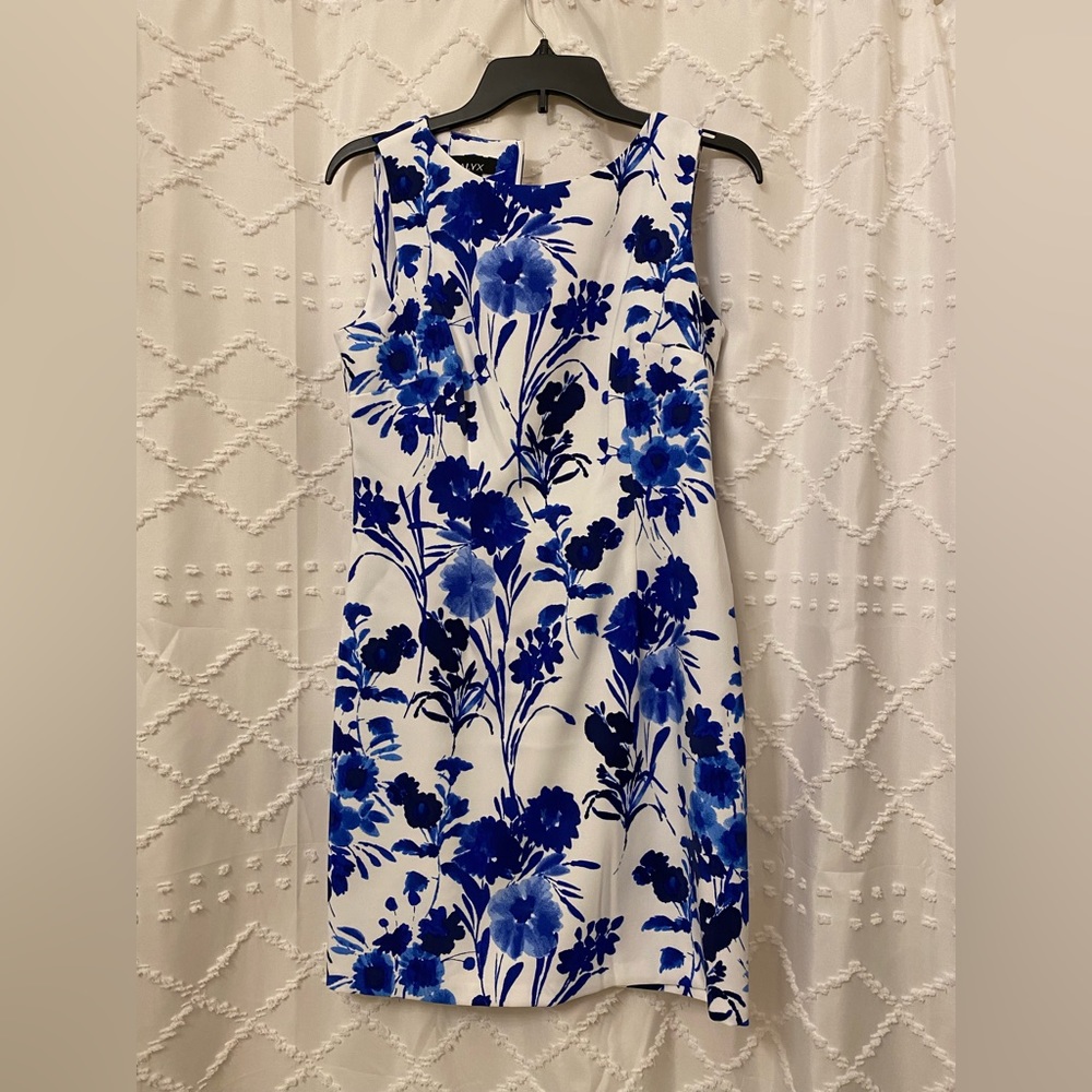 Blue & White Dress